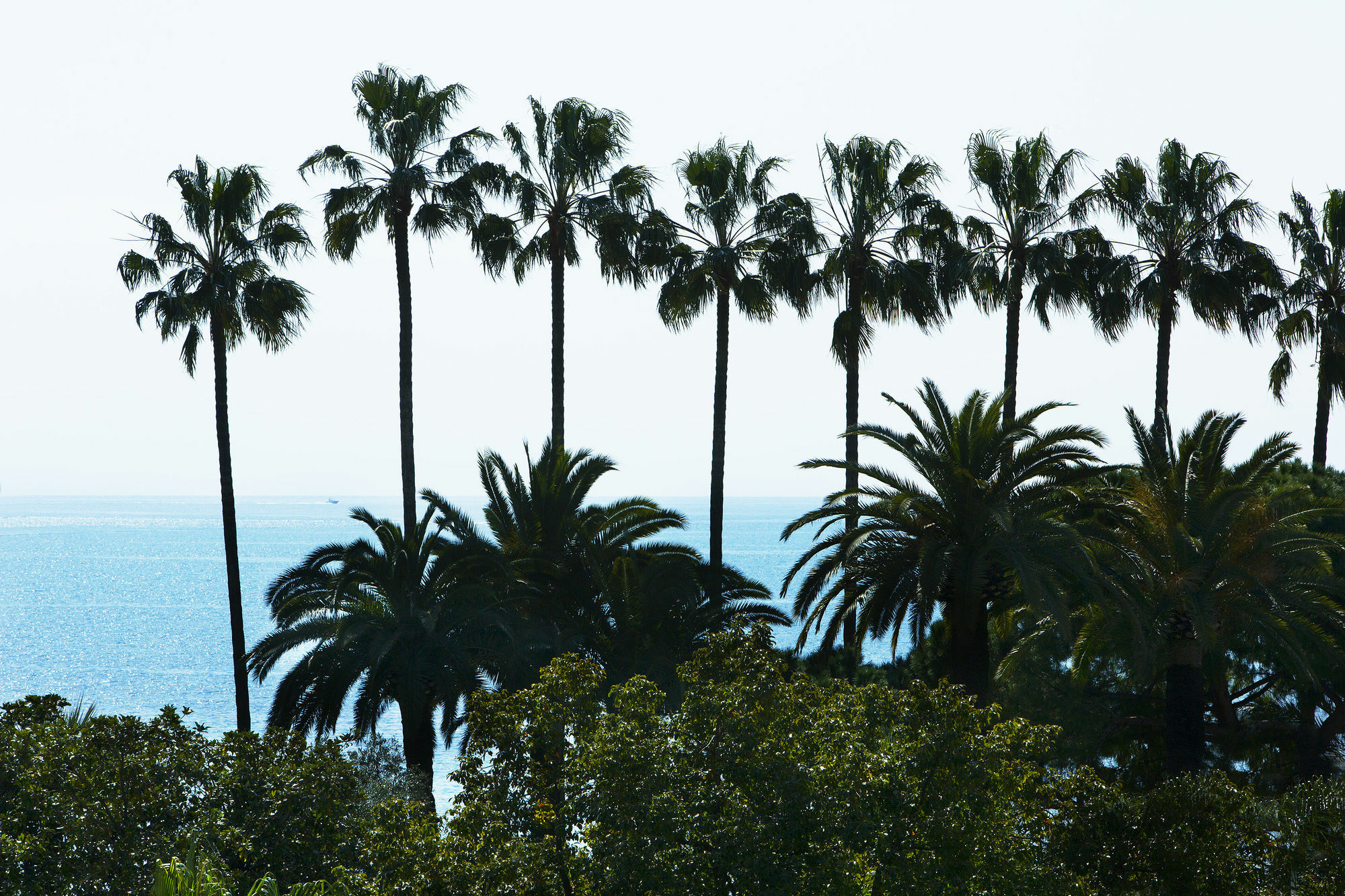 Villa D'Estelle Cannes Luaran gambar